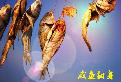 咸鱼最新金鱼爆料,揭秘金鱼界的神秘力量  第2张 咸鱼最新金鱼爆料,揭秘金鱼界的神秘力量  第2张