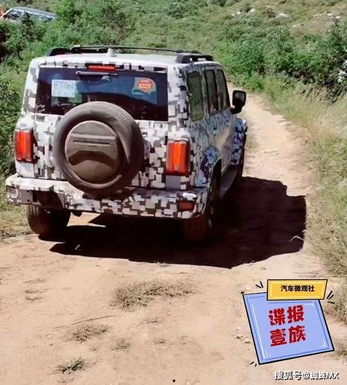 坦克汽车最新爆料,揭秘最新爆料背后的科技革新  第2张 坦克汽车最新爆料,揭秘最新爆料背后的科技革新  第2张