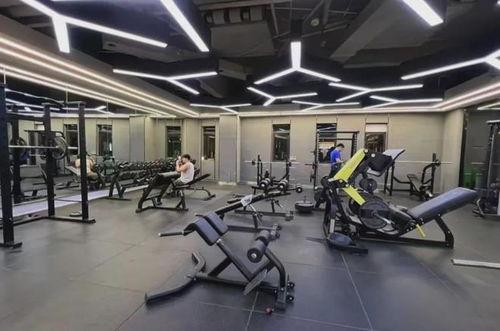 健身最新爆料,揭秘2023年度健身界最新爆料与趋势  第3张 健身最新爆料,揭秘2023年度健身界最新爆料与趋势  第3张