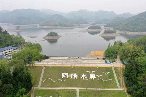 阿哈水库爆料视频,视频爆料揭示惊人真相  第2张 阿哈水库爆料视频,视频爆料揭示惊人真相  第2张