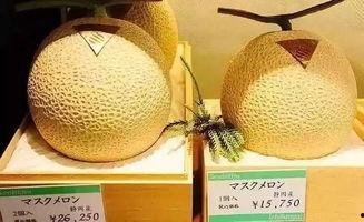 网红吃的网纹瓜,网纹瓜,口感与颜值并存的美味之旅  第1张 网红吃的网纹瓜,网纹瓜,口感与颜值并存的美味之旅  第1张