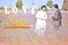 爱在春天全集在线观看,浪漫邂逅,青春旋律  第3张 爱在春天全集在线观看,浪漫邂逅,青春旋律  第3张