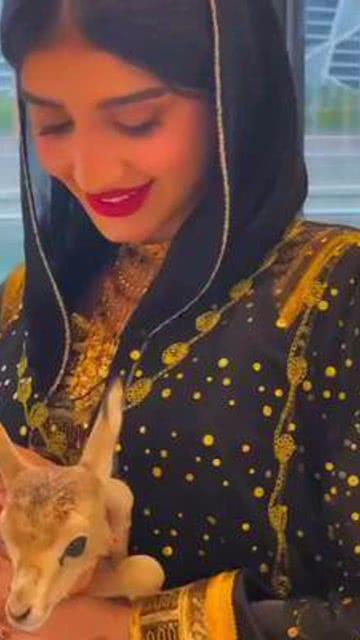 迪拜小姐姐爆料视频,迪拜生活幕后真相大曝光!