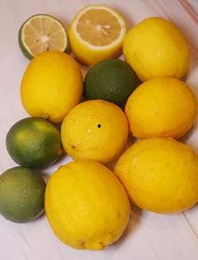 网红柠檬吃瓜,吃瓜界的清新代表  第2张 网红柠檬吃瓜,吃瓜界的清新代表  第2张