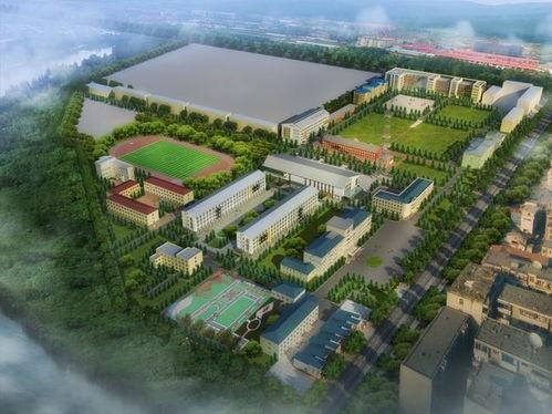 伊春职业学院爆料视频,伊春职业学院爆料视频揭露惊人内幕