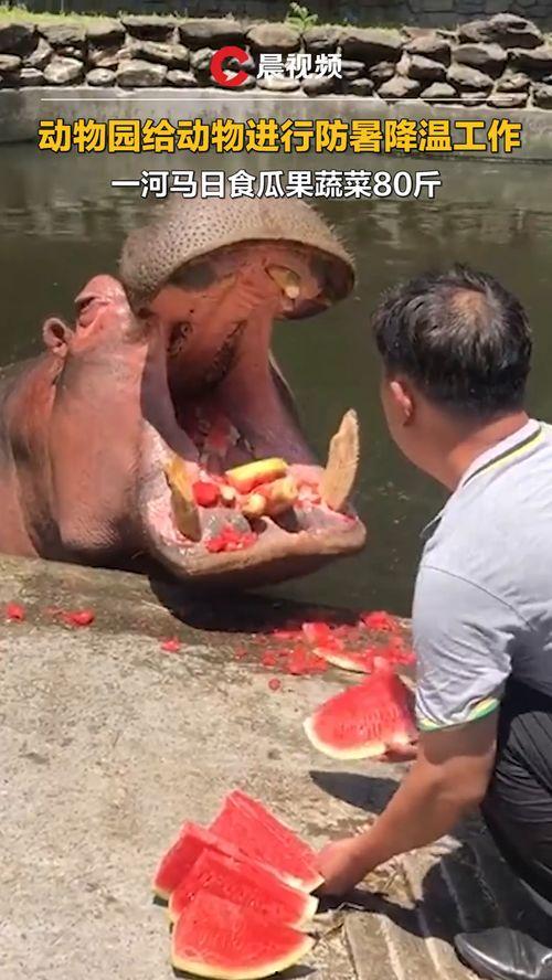 神秘吃瓜全过程免费观看,全程免费观看,揭秘幕后真相  第3张 神秘吃瓜全过程免费观看,全程免费观看,揭秘幕后真相  第3张