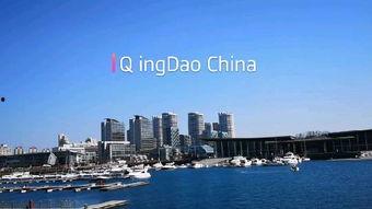 大海的旅行爆料视频,跟随旅行者足迹,揭秘海洋奇观之旅