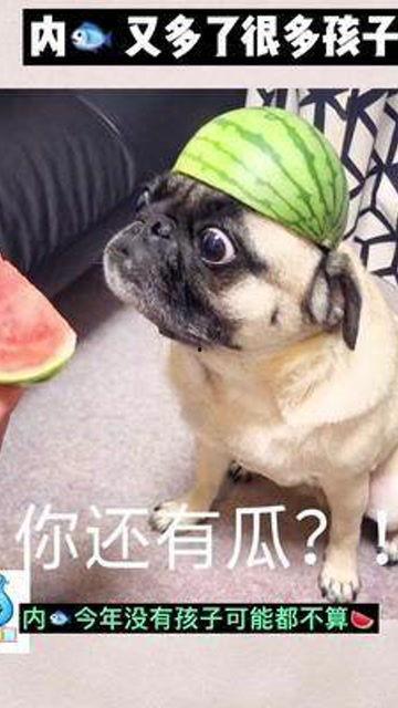 娱乐吃瓜君婴儿,揭秘婴儿的神奇成长之旅  第2张 娱乐吃瓜君婴儿,揭秘婴儿的神奇成长之旅  第2张