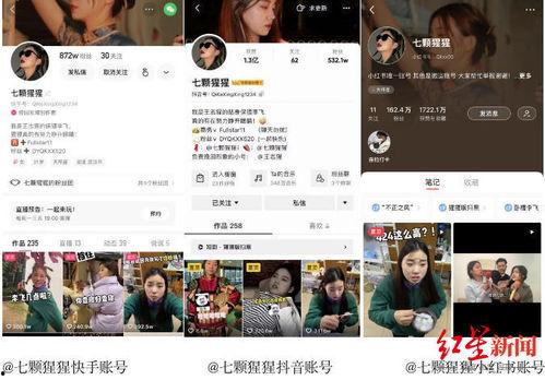 爆料段子系列视频大全,笑料百出,欢乐无限